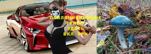 мяу мяу кристалл Алексин