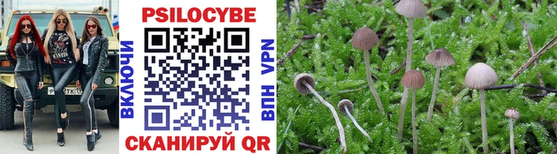 Галлюциногенные грибы Psilocybine cubensis  Гаврилов Посад 